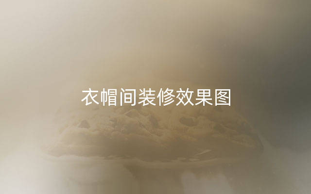 衣帽间装修效果图