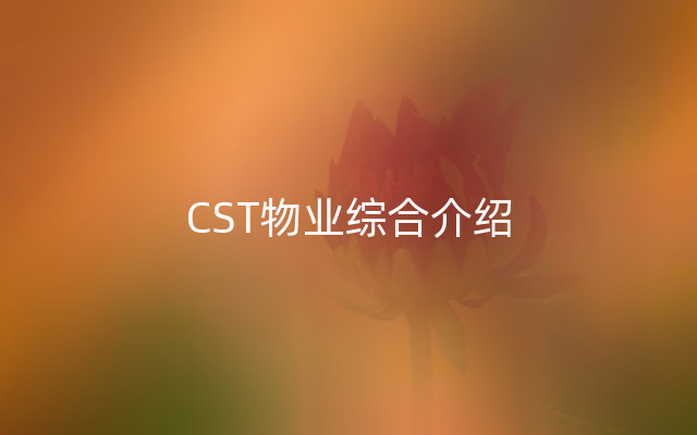 CST物业综合介绍