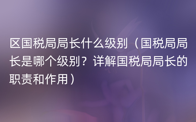 区国税局局长什么级别（国税局局长是哪个级别？详解国税局局长的职责和作用）