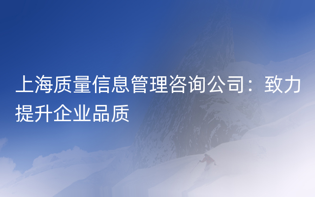 上海质量信息管理咨询公司：致力提升企业品质