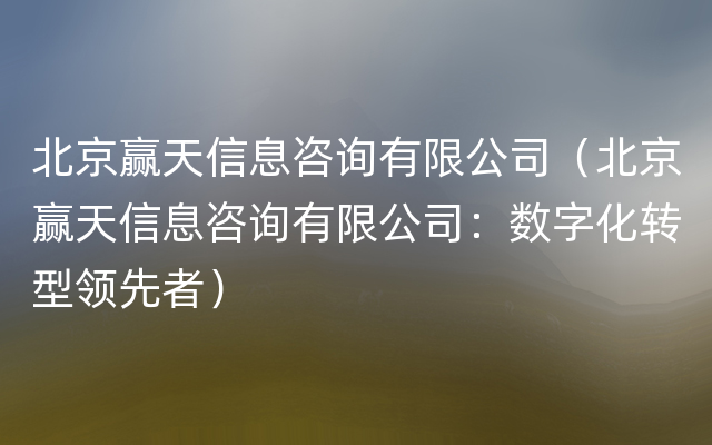 北京赢天信息咨询有限公司（北京赢天信息咨询有限公司：数字化转型领先者）