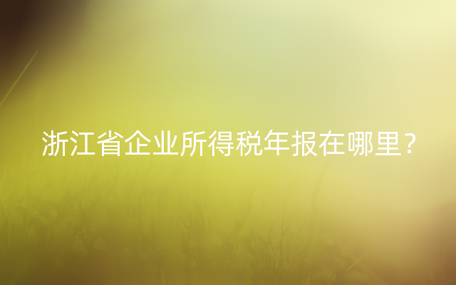 浙江省企业所得税年报在哪里？