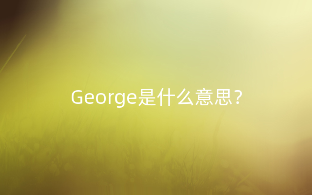 George是什么意思？