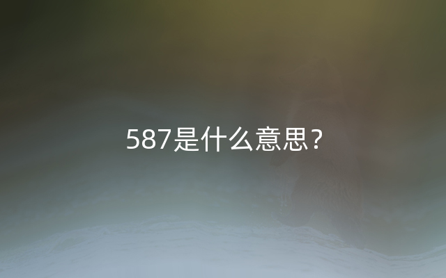 587是什么意思？