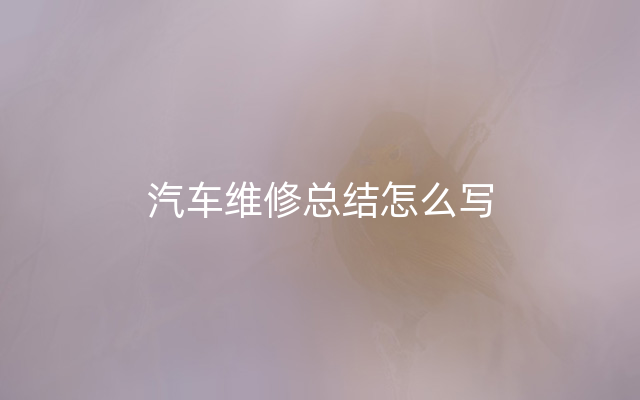 汽车维修总结怎么写