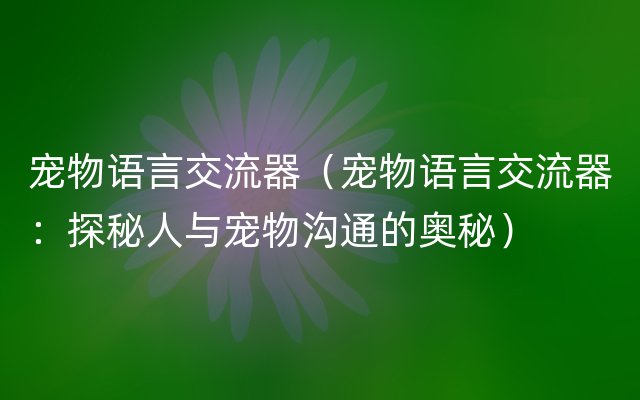 宠物语言交流器（宠物语言交流器：探秘人与宠物沟通的奥秘）