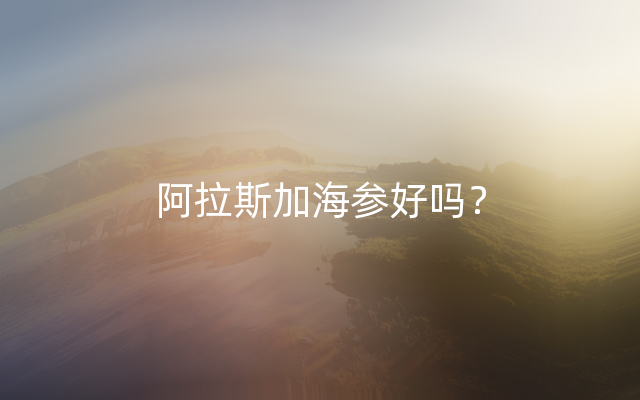 阿拉斯加海参好吗？