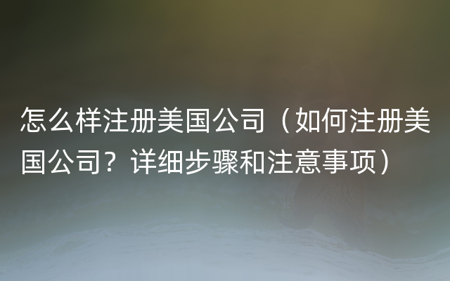 怎么样注册美国公司（如何注册美国公司？详细步骤和注意事项）