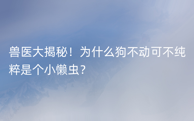 兽医大揭秘！为什么狗不动可不纯粹是个小懒虫？