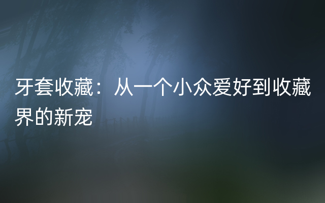 牙套收藏：从一个小众爱好到收藏界的新宠