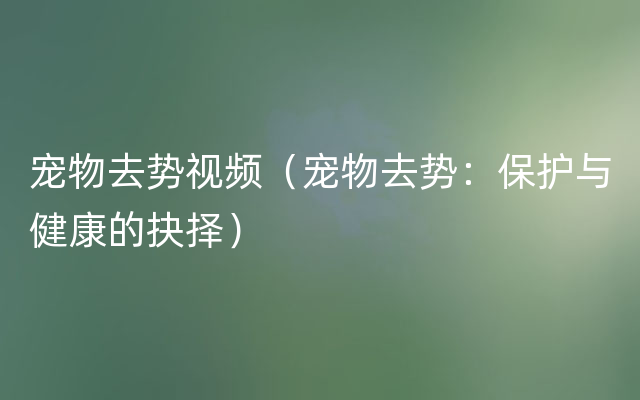 宠物去势视频（宠物去势：保护与健康的抉择）