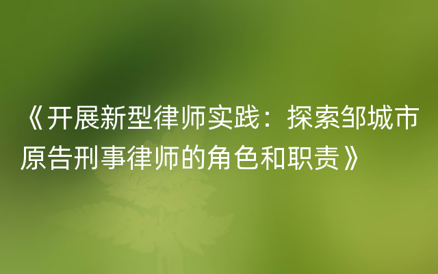 《开展新型律师实践：探索邹城市原告刑事律师的角