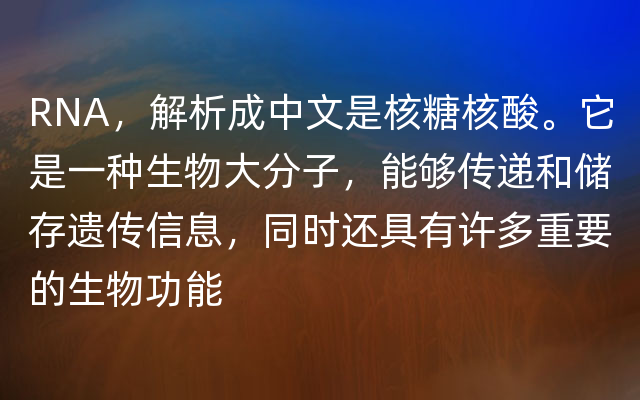 RNA，解析成中文是核糖核酸。它是一种生物大分子，能够传递和储存遗传信息，同时还具