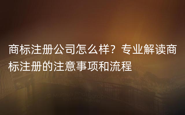 商标注册公司怎么样？专业解读商标注册的注意事项和流程