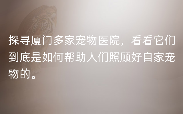 探寻厦门多家宠物医院，看看它们到底是如何帮助人们照顾好自家宠物的。