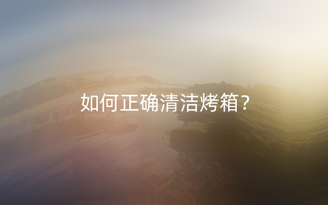 如何正确清洁烤箱？