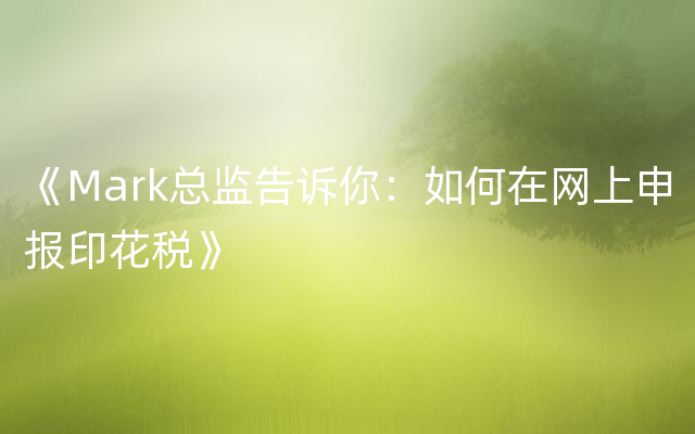 《Mark总监告诉你：如何在网上申报印花税》