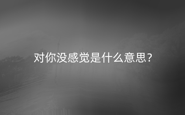 对你没感觉是什么意思？