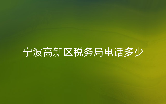 宁波高新区税务局电话多少