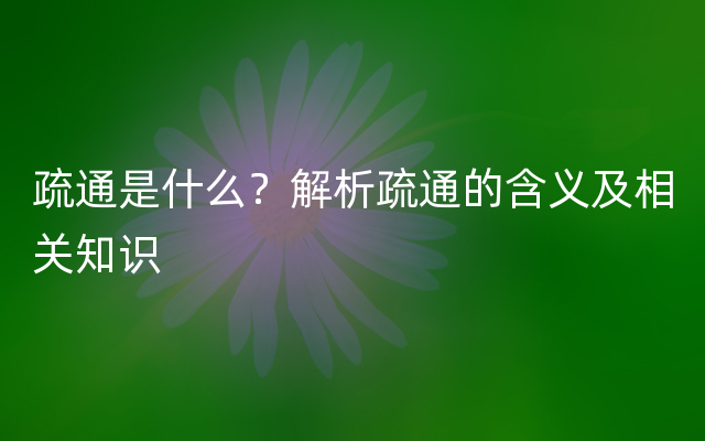 疏通是什么？解析疏通的含义及相关知识