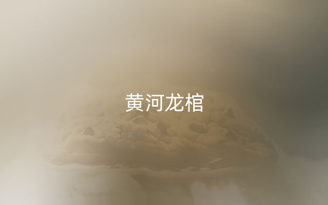 黄河龙棺