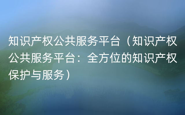 知识产权公共服务平台（知识产权公共服务平台：全方位的知识产权保护与服务）