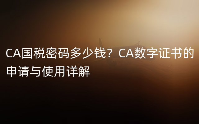 CA国税密码多少钱？CA数字证书的申请与使用详解