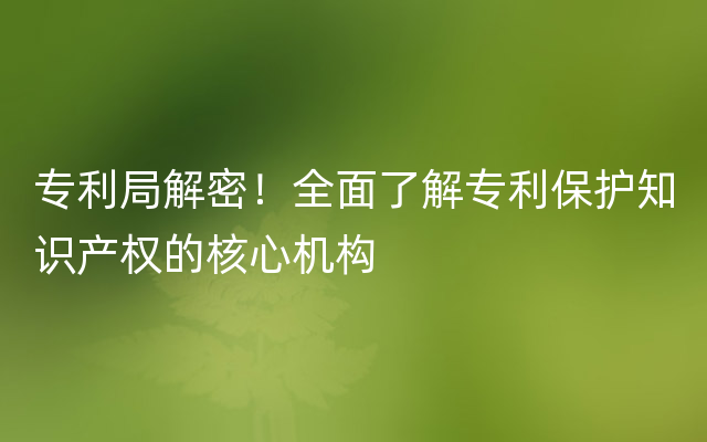 专利局解密！全面了解专利保护知识产权的核心机构