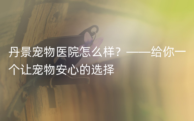 丹景宠物医院怎么样？——给你一个让宠物安心的选择