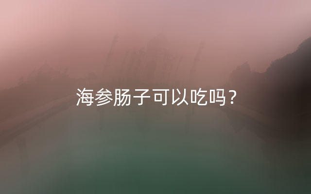 海参肠子可以吃吗？