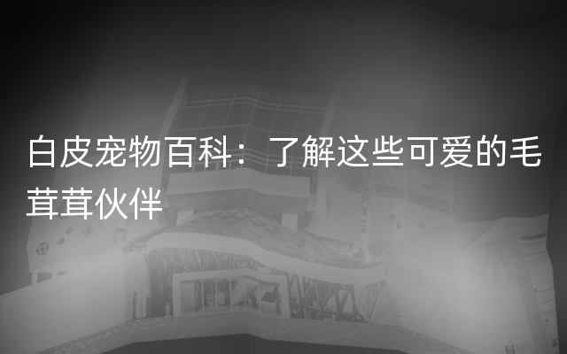 白皮宠物百科：了解这些可爱的毛茸茸伙伴