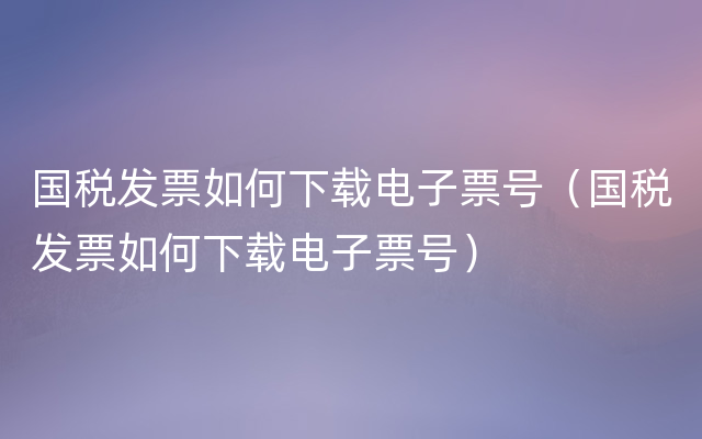 国税发票如何下载电子票号（国税发票如何下载电子票号）