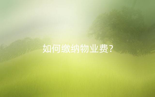 如何缴纳物业费？