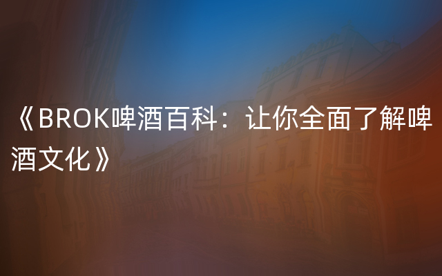 《BROK啤酒百科：让你全面了解啤酒文化》