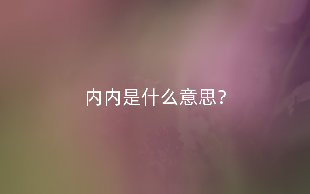 内内是什么意思？