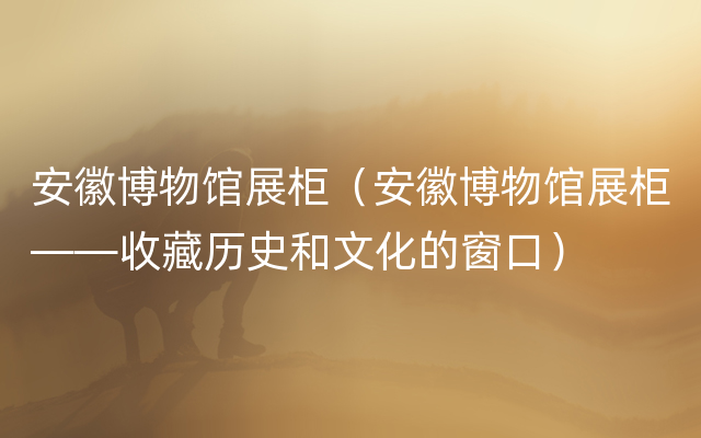 安徽博物馆展柜（安徽博物馆展柜——收藏历史和文化的窗口）