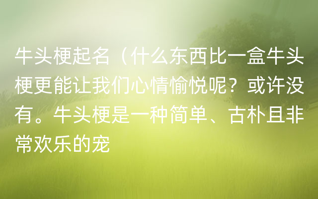 牛头梗起名（什么东西比一盒牛头梗更能让我们心情愉悦呢？或许没有。牛头梗是一种简单