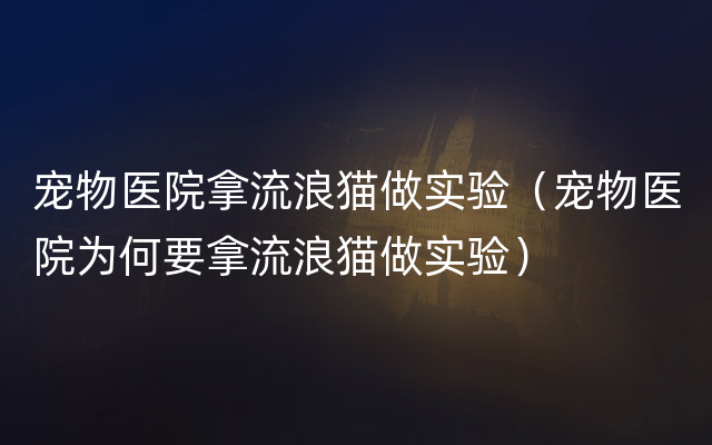 宠物医院拿流浪猫做实验（宠物医院为何要拿流浪猫