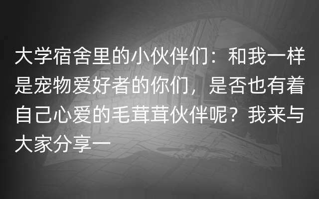 大学宿舍里的小伙伴们：和我一样是宠物爱好者的你们，是否也有着自己心爱的毛茸茸伙伴