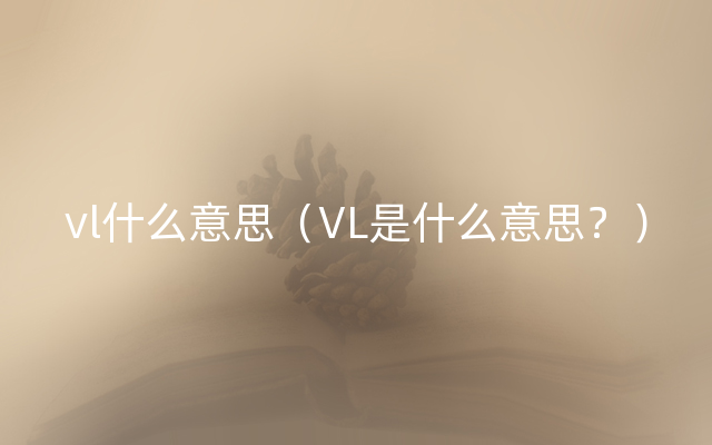 vl什么意思（VL是什么意思？）