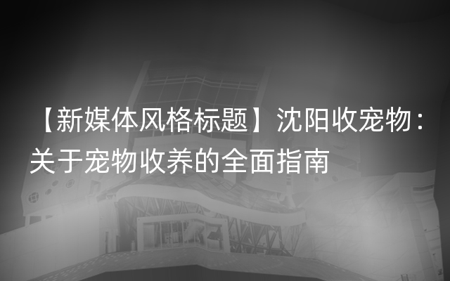 【新媒体风格标题】沈阳收宠物：关于宠物收养的全面指南