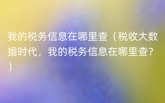 我的税务信息在哪里查（税收大数据时代，我的税务信息在哪里查？）