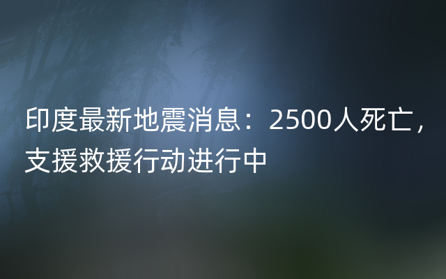 印度最新地震消息：2500人死亡，支援救援行动进行