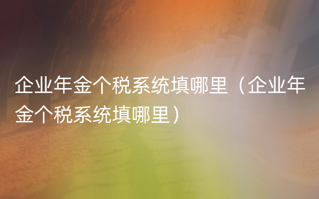 企业年金个税系统填哪里（企业年金个税系统填哪里）