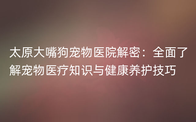 太原大嘴狗宠物医院解密：全面了解宠物医疗知识与健康养护技巧