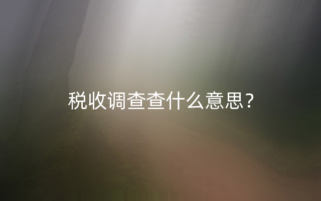 税收调查查什么意思？