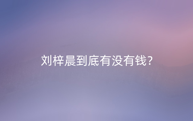 刘梓晨到底有没有钱？