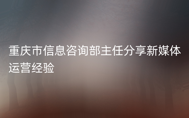 重庆市信息咨询部主任分享新媒体运营经验