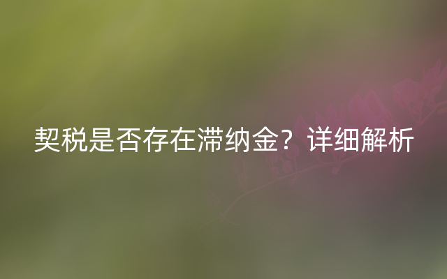 契税是否存在滞纳金？详细解析