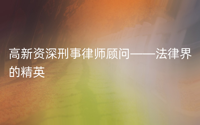 高新资深刑事律师顾问——法律界的精英